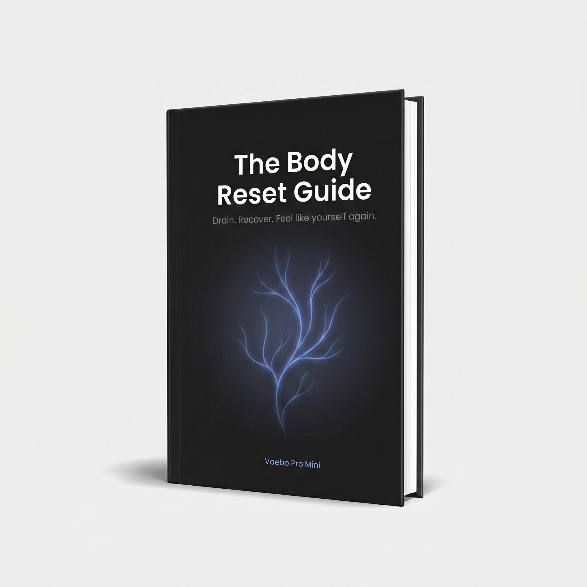 The Body Reset Guide